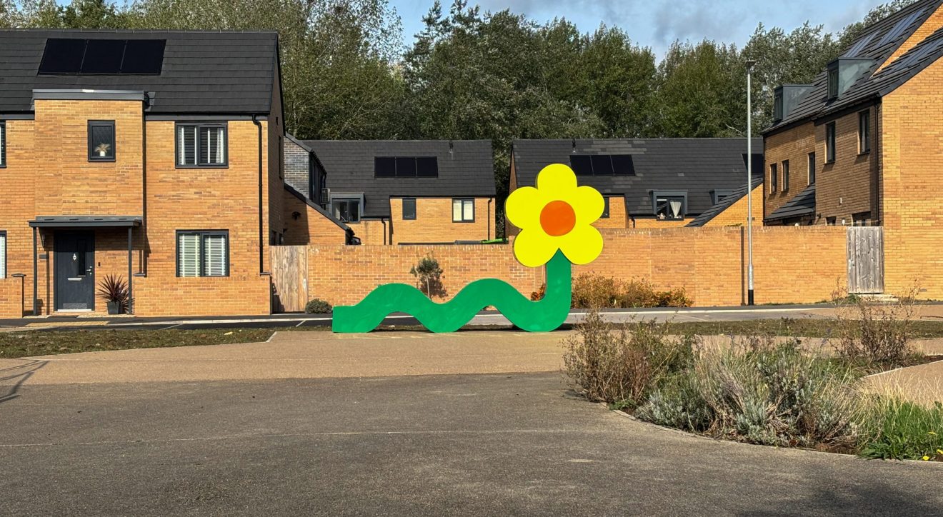 Making Hengrove - Wildflower