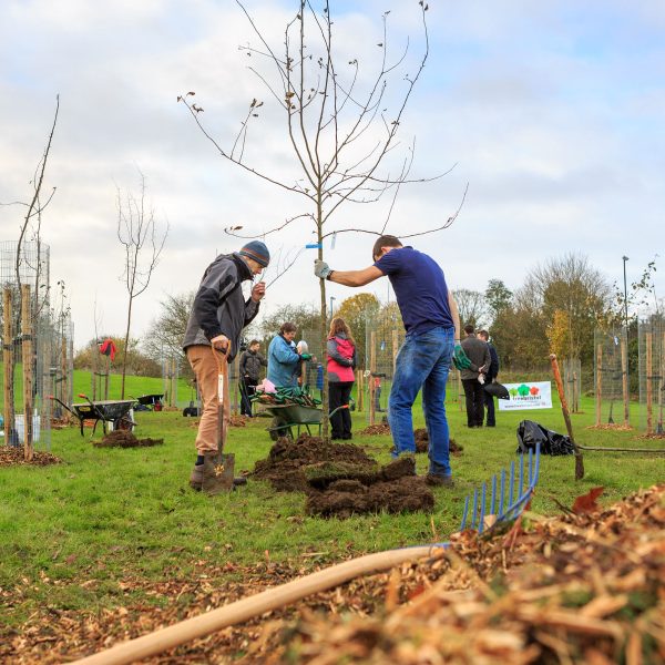 Future Perfect: The Orchard 9