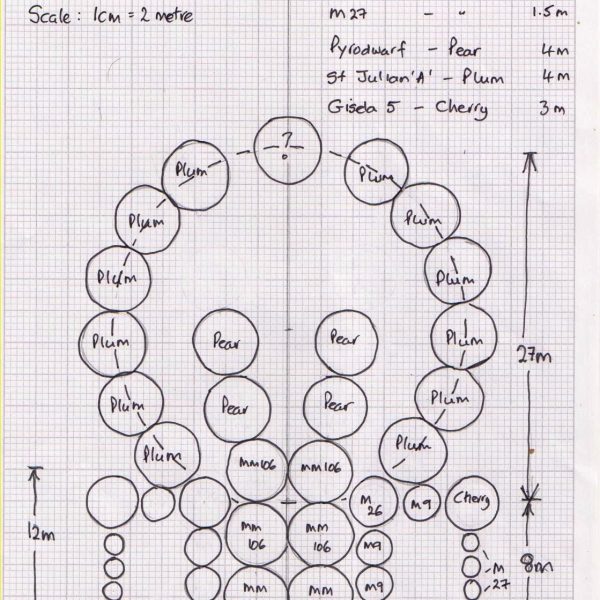 Future Perfect: The Orchard 5