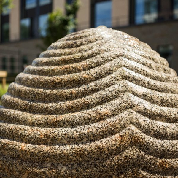 Peter Randall Page (Southmead Hospital) 5