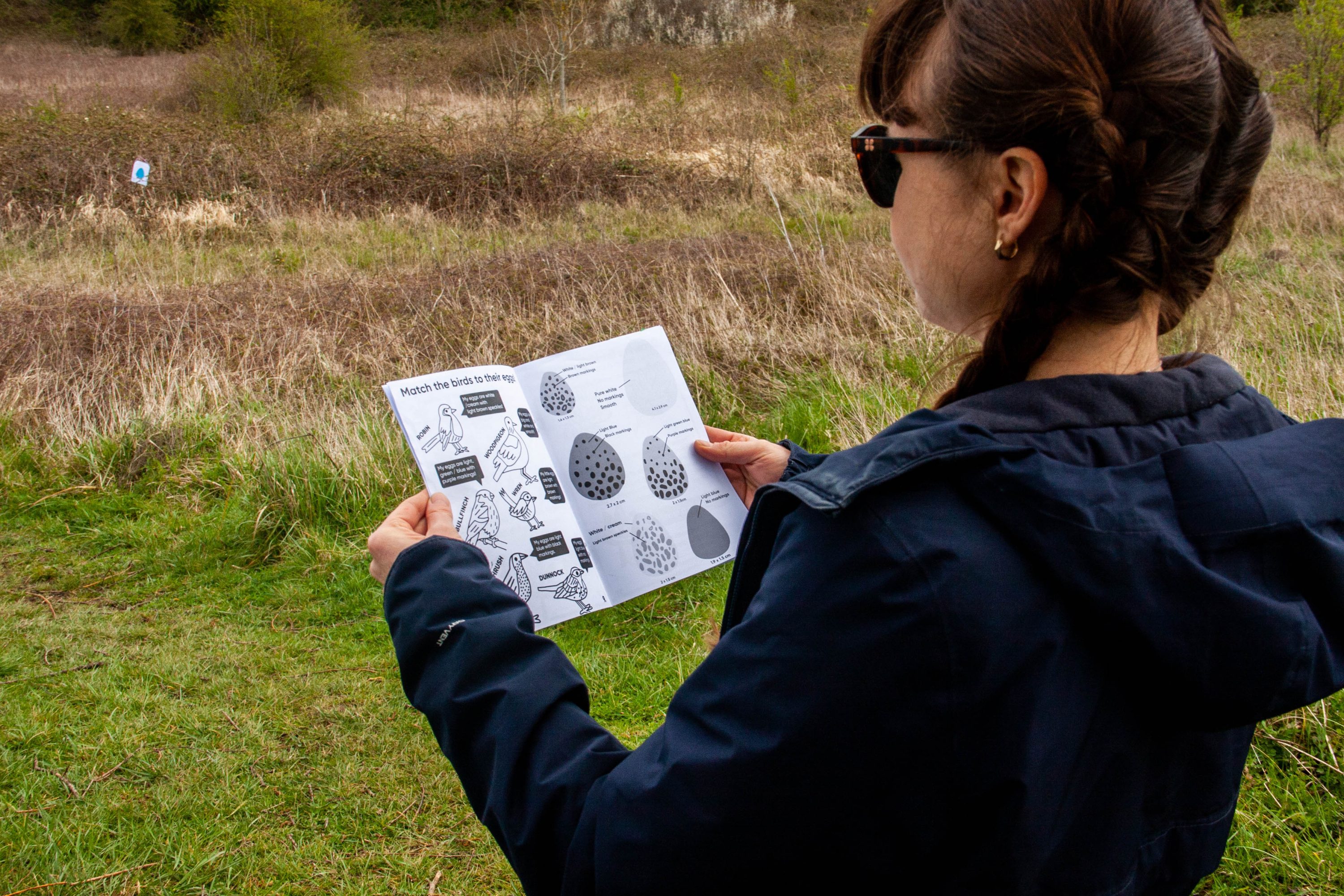 Making Hengrove - Wildflower 27