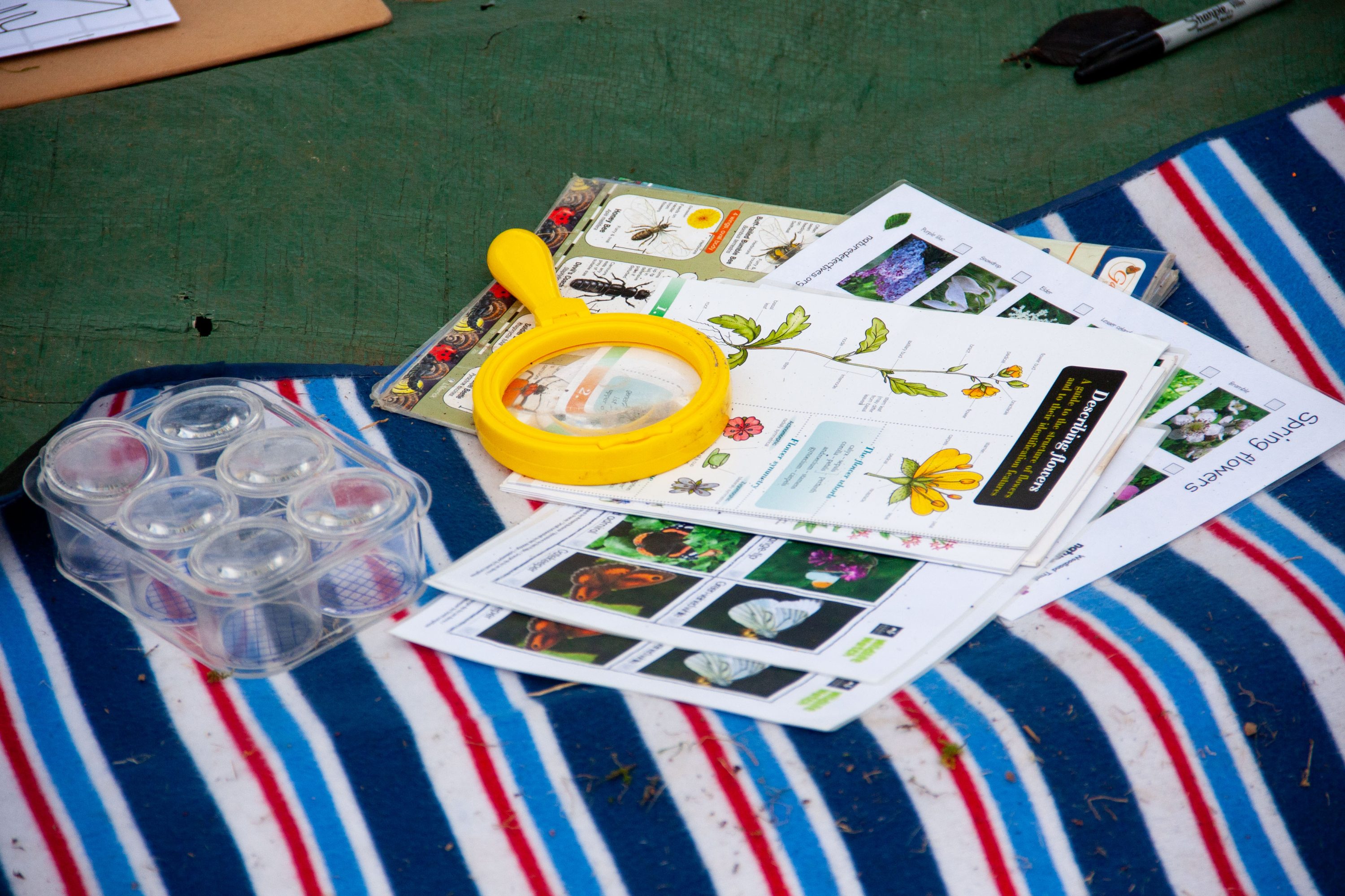 Making Hengrove - Wildflower 34