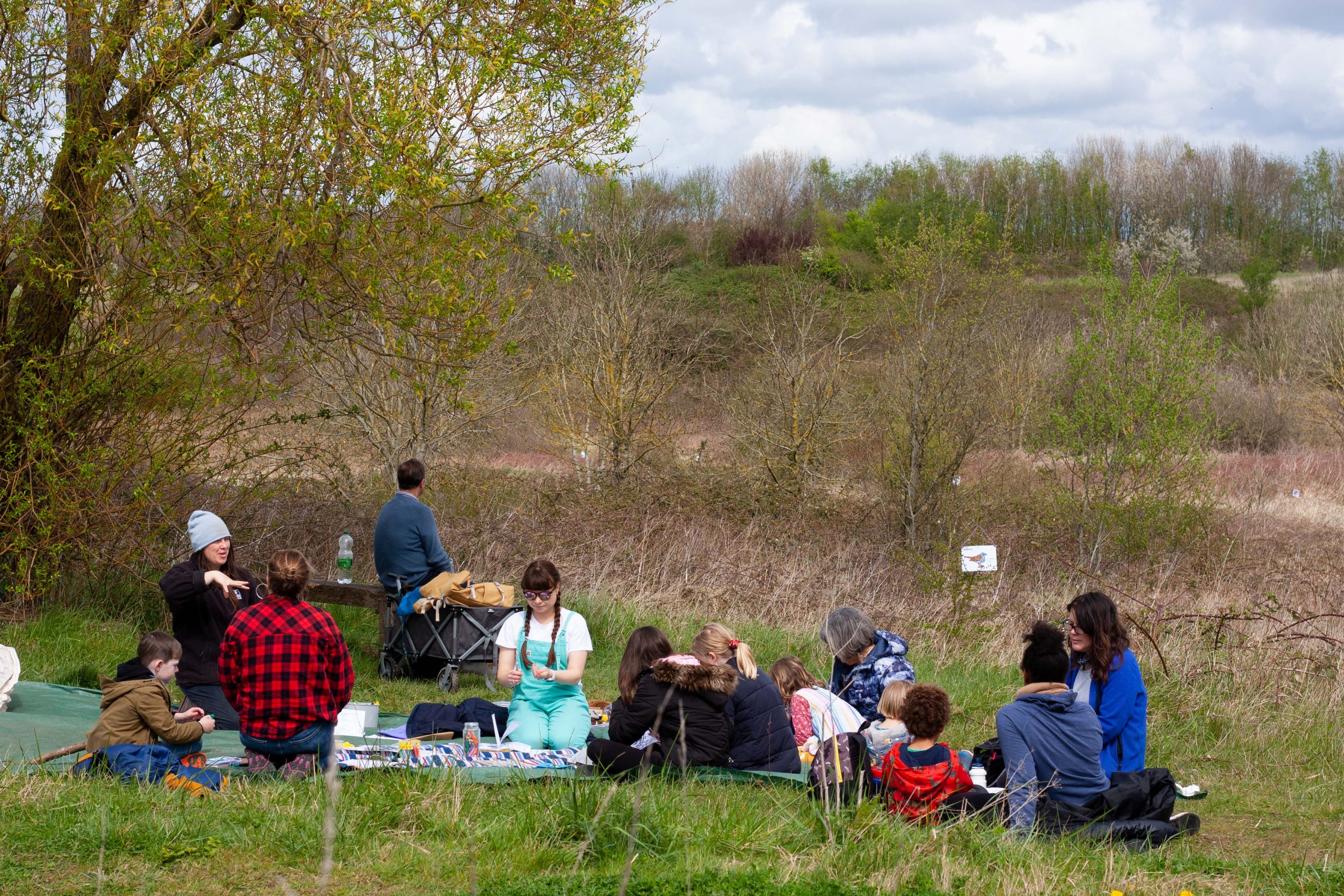 Making Hengrove - Wildflower 36