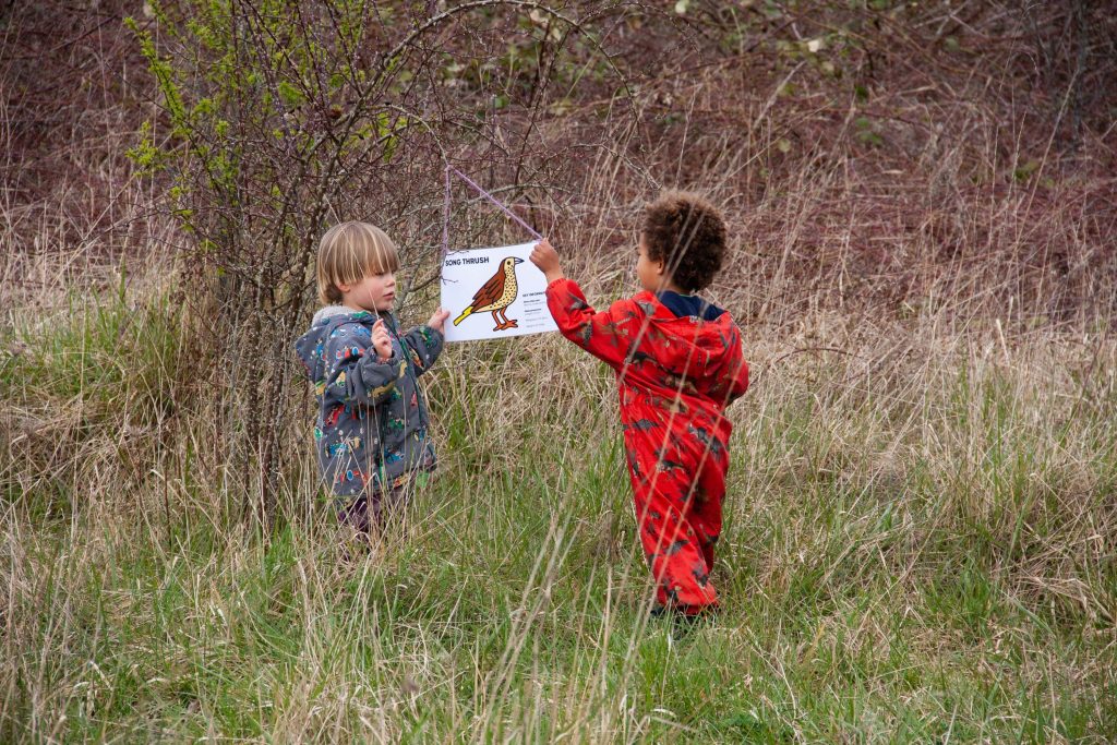 Making Hengrove - Wildflower 40