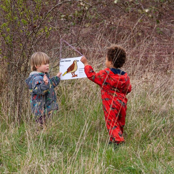 Making Hengrove - Wildflower 40