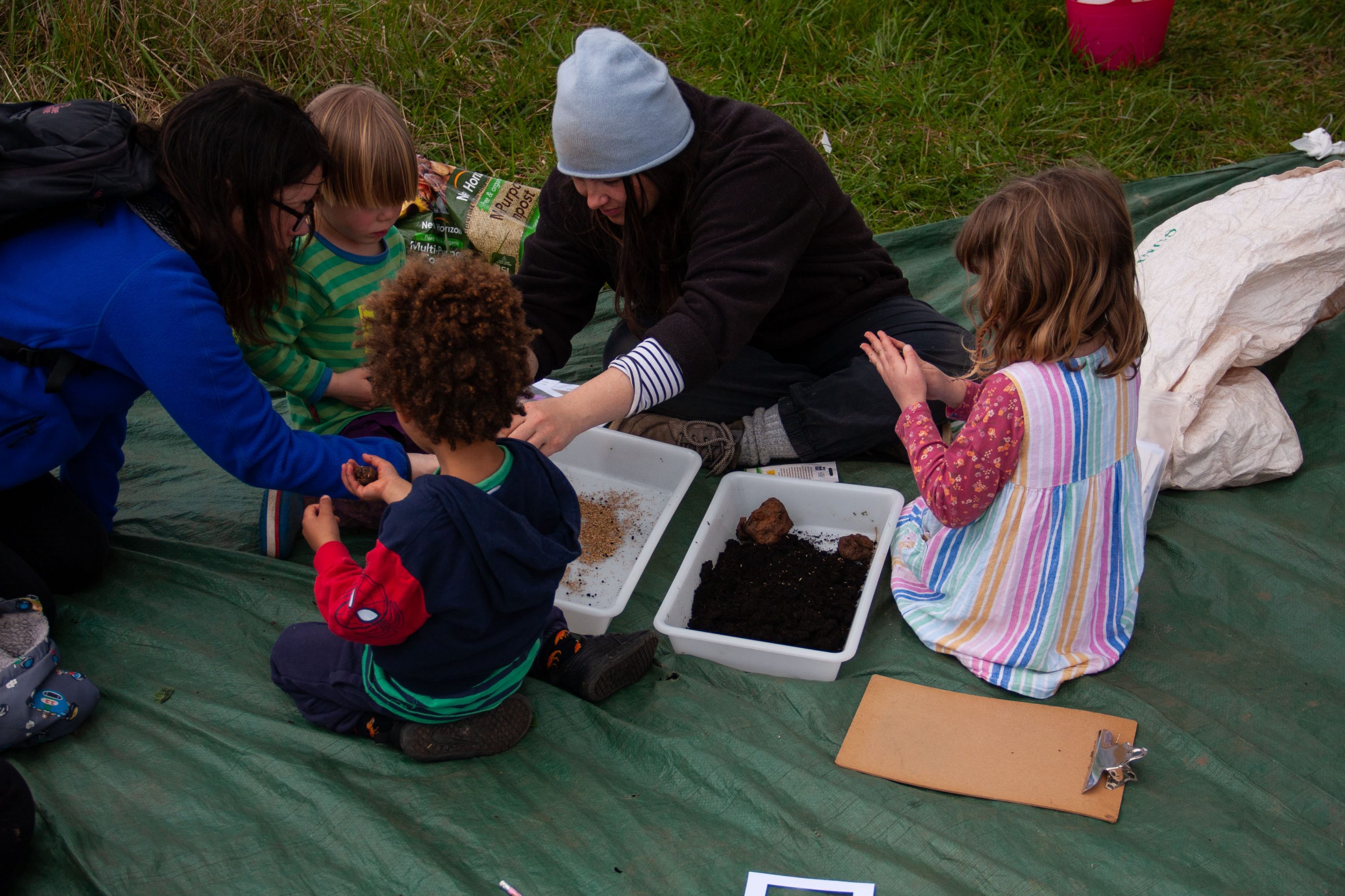 Making Hengrove - Wildflower 41