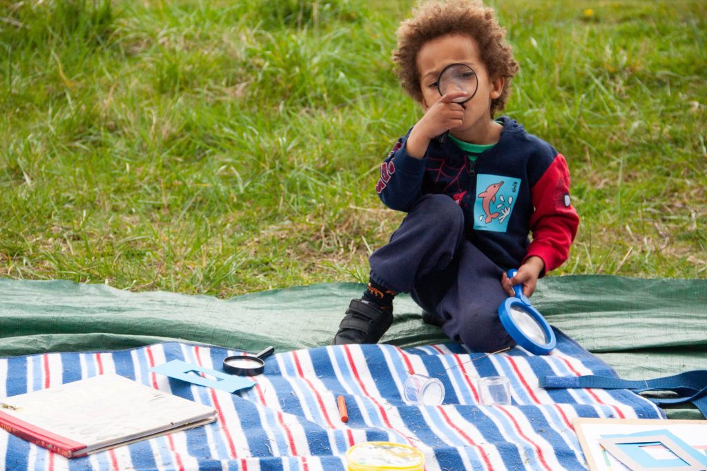 Making Hengrove - Wildflower 42