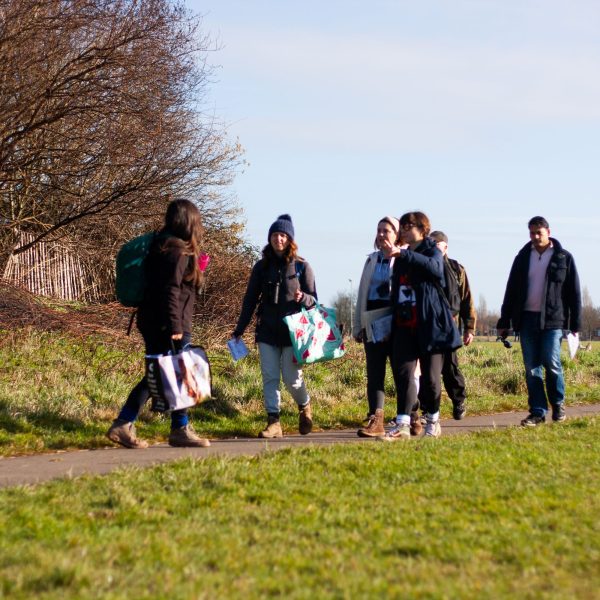 Making Hengrove - Wildflower 52