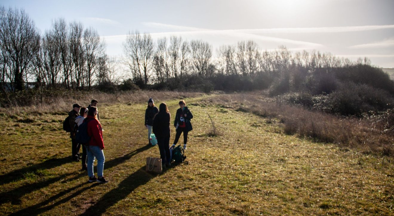 Making Hengrove - Wildflower 56