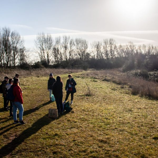 Making Hengrove - Wildflower 56