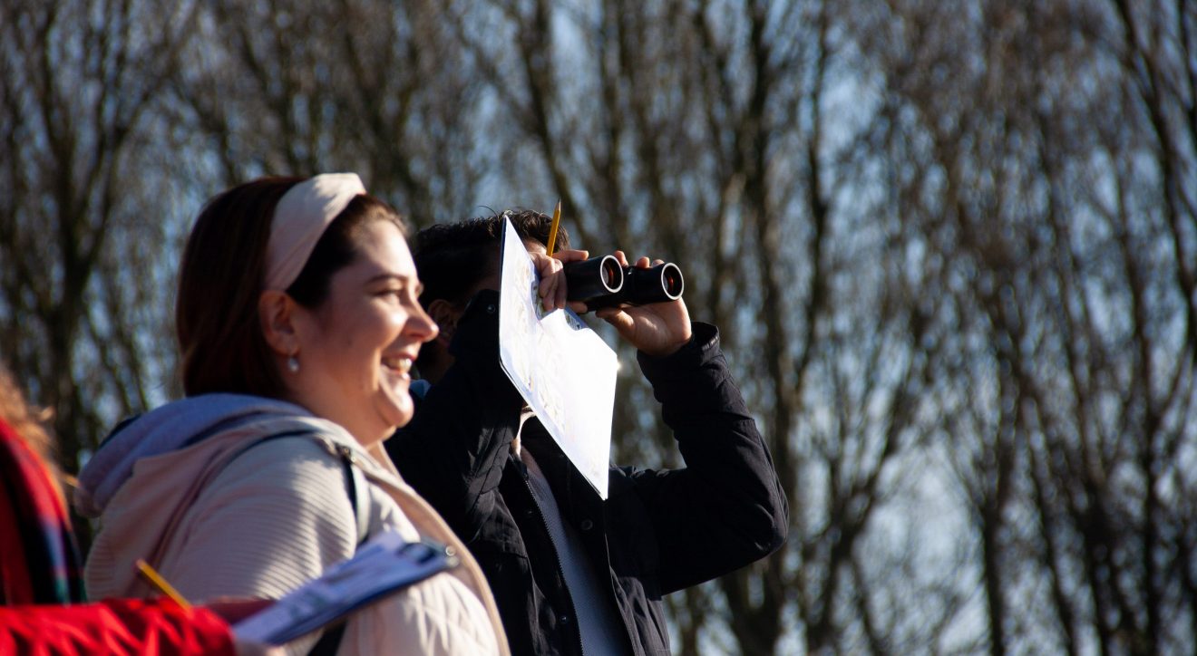 Making Hengrove - Wildflower 57