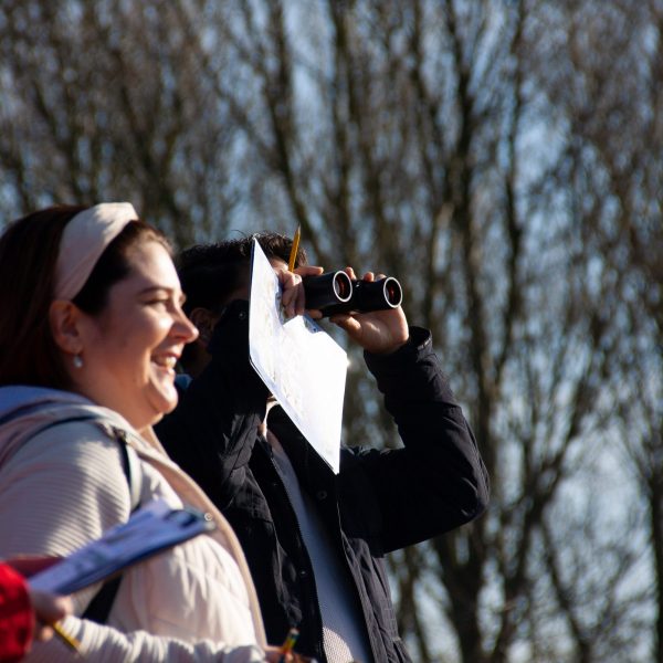 Making Hengrove - Wildflower 57