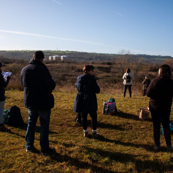 Making Hengrove - Wildflower 59