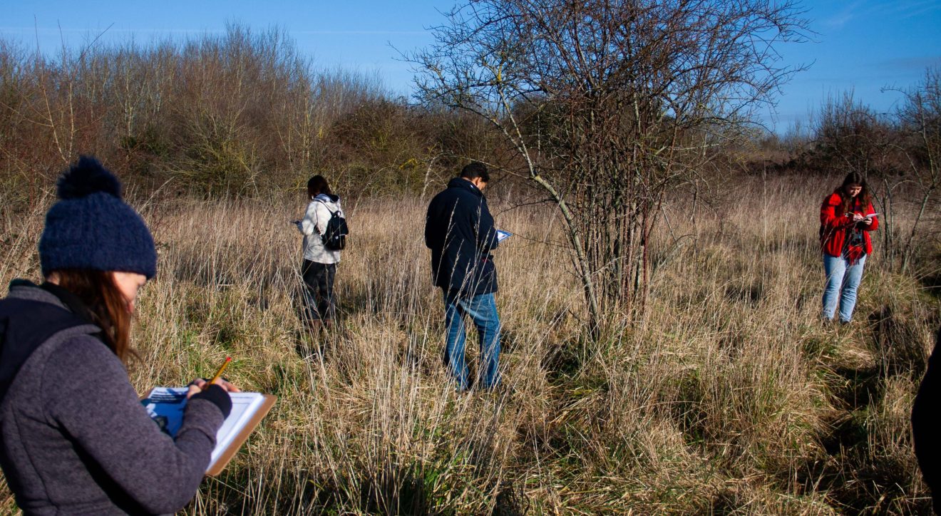 Making Hengrove - Wildflower 62