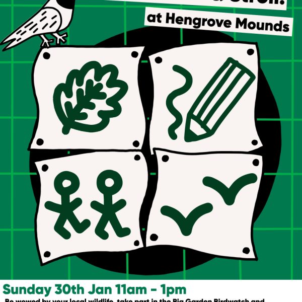 Making Hengrove - Wildflower 68