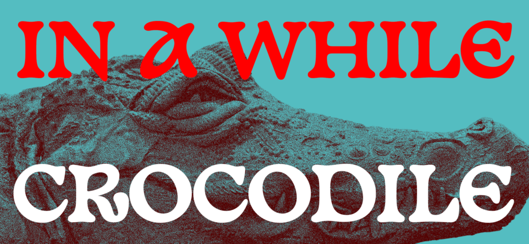 Crocodile 10