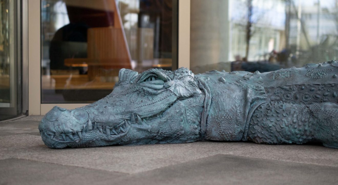 Crocodile 2