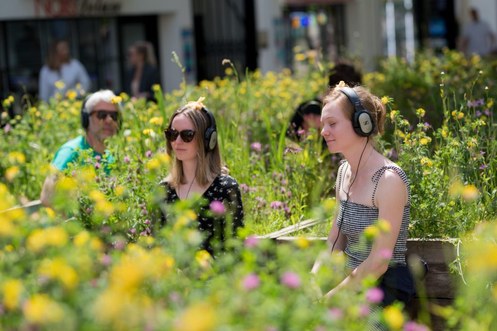 City Centre Public Art and Cultural Activation Strategy: City Centre and Frome Gateway 5