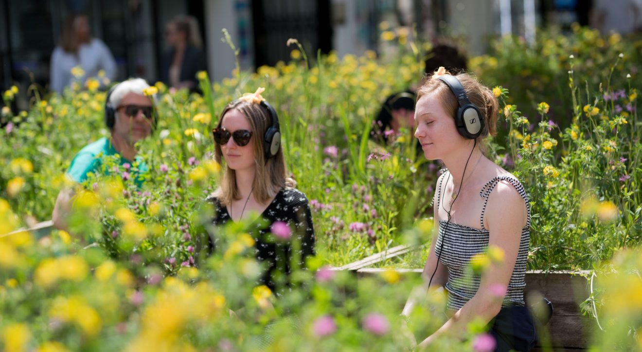 City Centre Public Art and Cultural Activation Strategy: City Centre and Frome Gateway 5