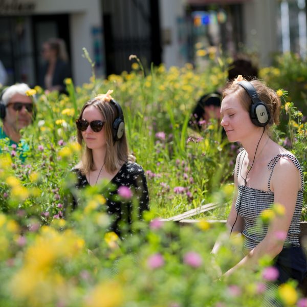City Centre Public Art and Cultural Activation Strategy: City Centre and Frome Gateway 5