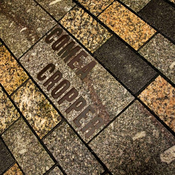 Tower Lane Brass Inset Paving – The Department of Small Works 2