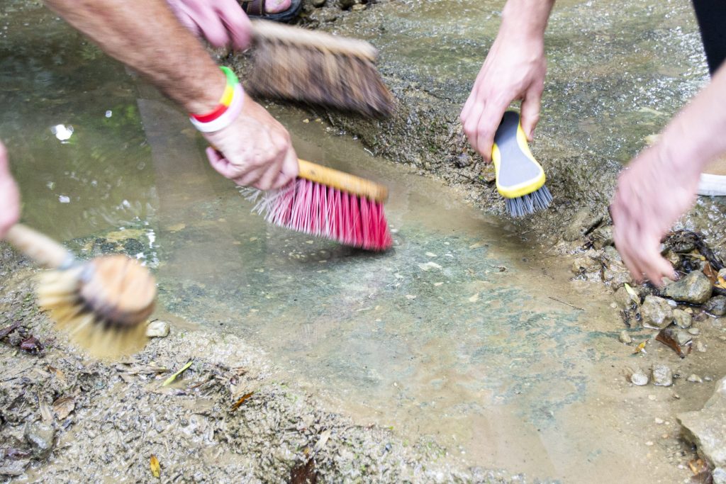 A River’s Song: Giving Voice to the Malago 8