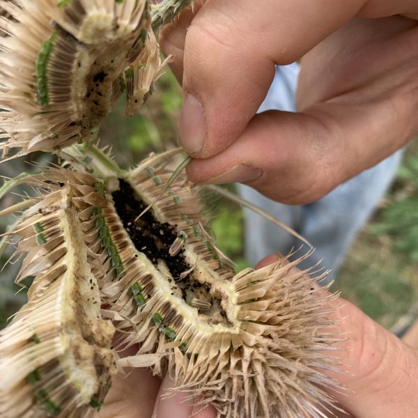 Made in Bonnington 14