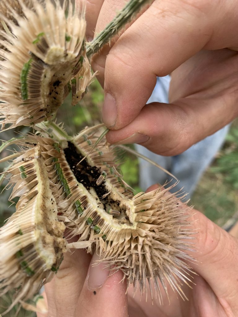 Made in Bonnington 14