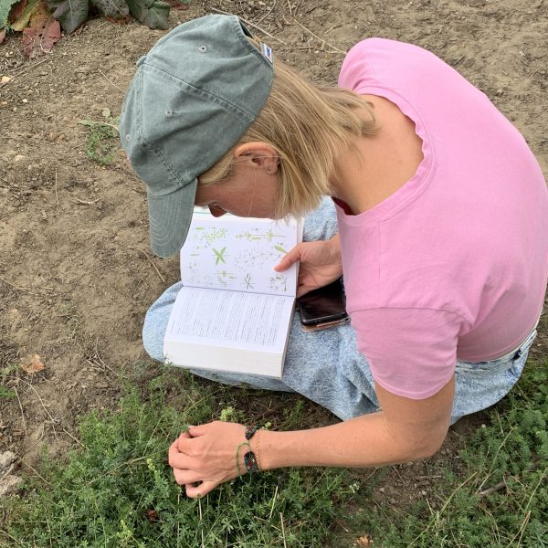 Made in Bonnington 15