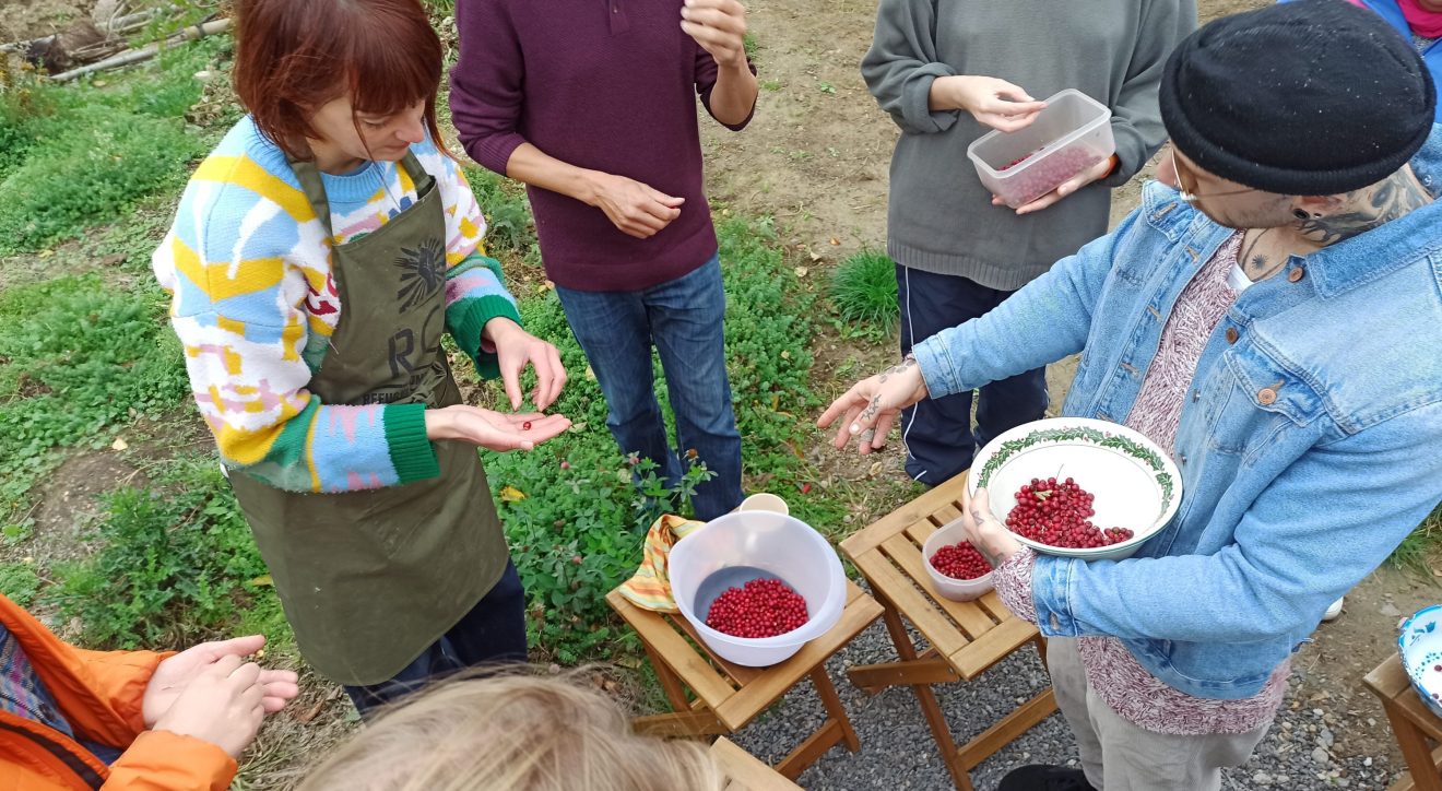 Made in Bonnington 19