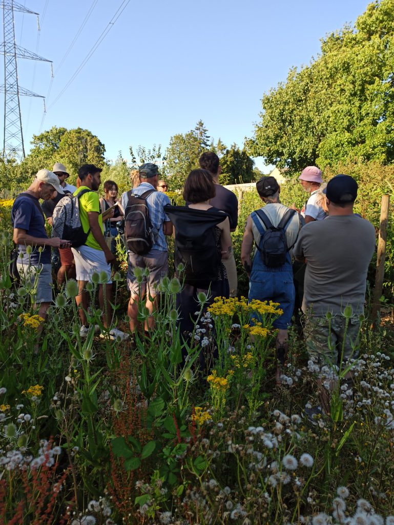 Made in Bonnington 26