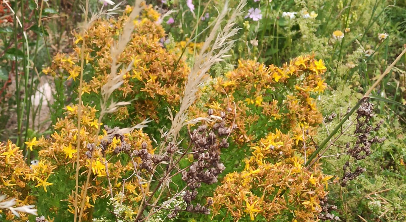 Made in Bonnington 27