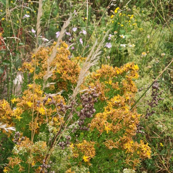 Made in Bonnington 27