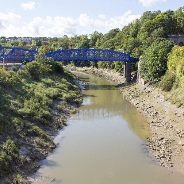 Avon Riversides 2100: Creative engagement and art commission opportunity 1