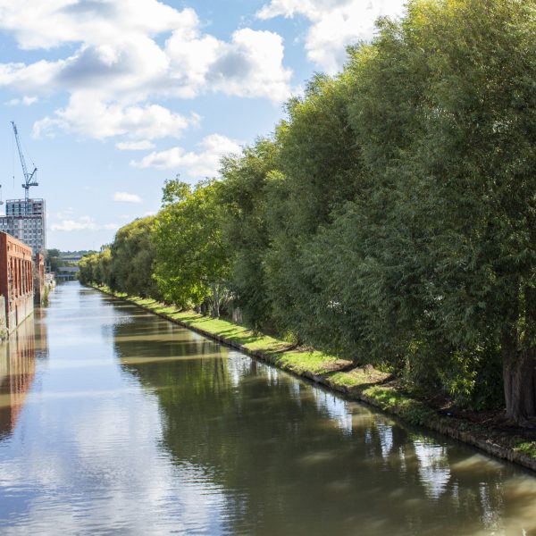 Avon Riversides 2100: Creative engagement and art commission opportunity 3